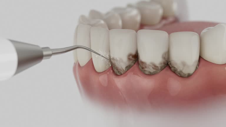 Reliable Dental contractor in North Decatur, GA by Dentist Open Now